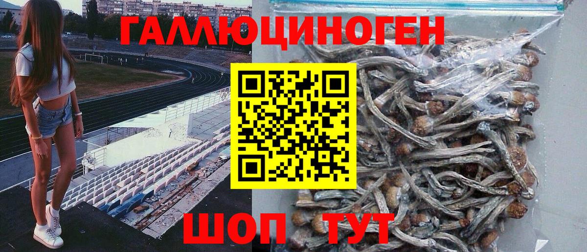 Псилоцибиновые грибы Magic Shrooms Подольск