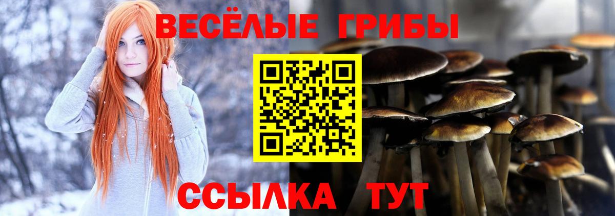 Галлюциногенные грибы ЛСД  Галлюциногенные грибы ЛСД  Вход с VPN  Подольск 